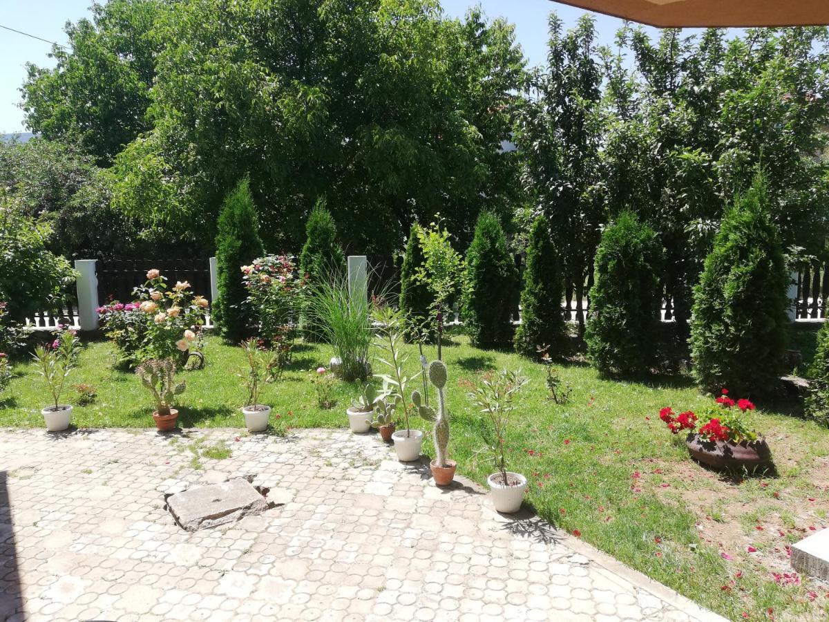 Apartmani Tvins Сокобаня Екстер'єр фото