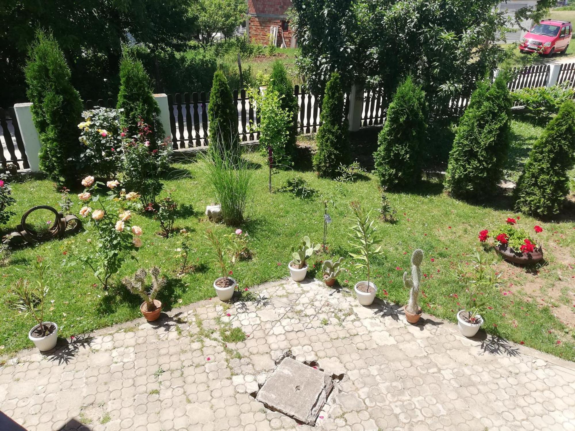 Apartmani Tvins Сокобаня Екстер'єр фото